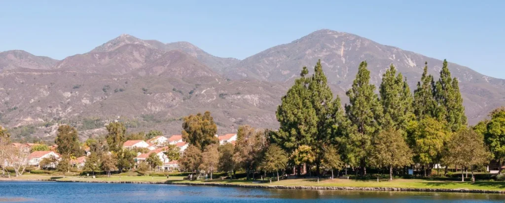 Beautiful lake and houses for Cleaning services in Lake Forest